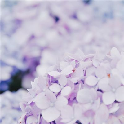 医院公司游戏(暂未上线)v1.1 安卓版